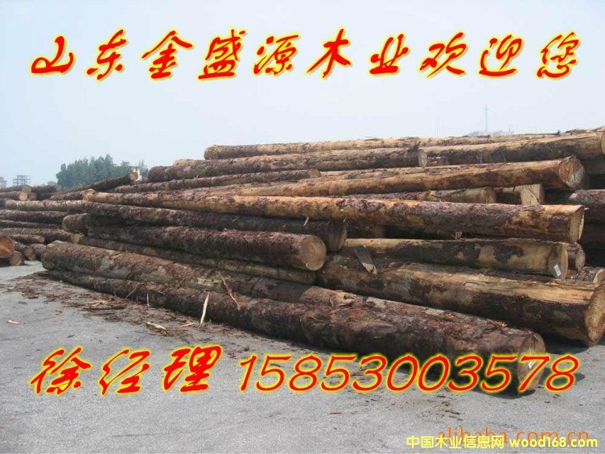 ��ľ��Ԕ��(x��)��B