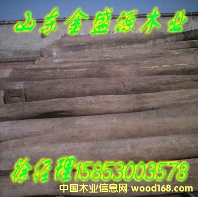 ����ľ��03��Ԕ��(x��)��B