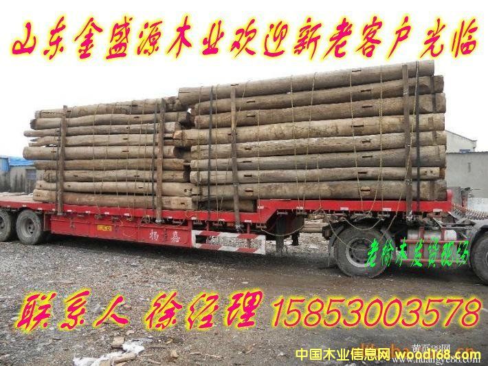 ��ľ����Ԕ��(x��)��B