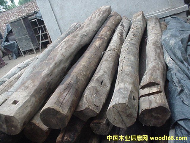 ����ľ��Ԕ��(x��)��B