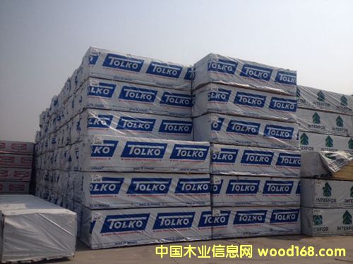 ����SPF-tolko��Ԕ����B