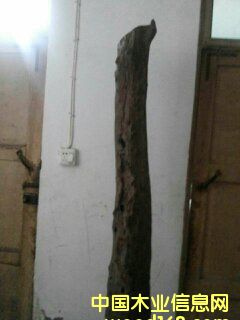 �c���鿴С�~��̴�Ŵ�DƬ