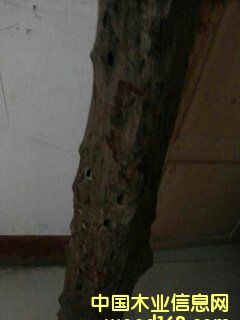 �c���鿴С�~��̴�Ŵ�DƬ