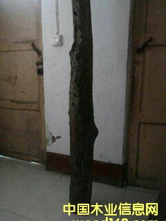 �c���鿴С�~��̴�Ŵ�DƬ