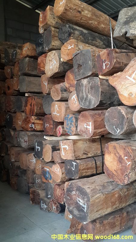 ���黨���Ԕ��(x��)��B