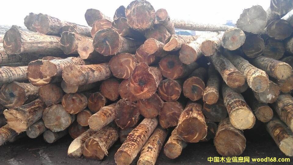 ����(gu��)�Ϸ���ԭľ��Ԕ��(x��)��B