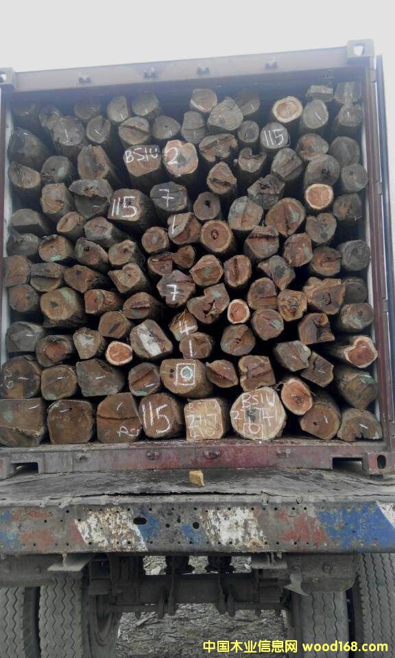 ��������С�~�t̴