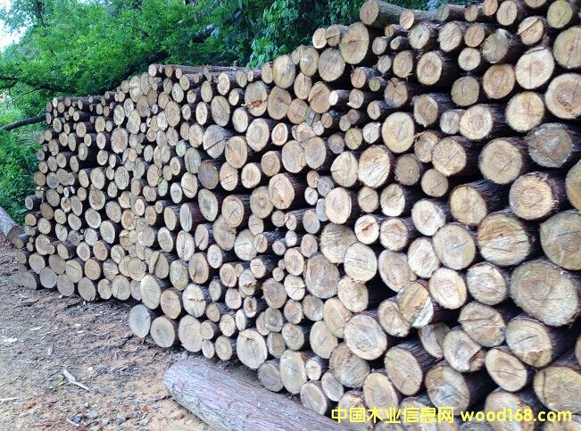  ɼ��Aľ��Ԕ��(x��)��B