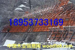 �۹����\(y��n)�ģ�� ��ˮ��ˮ��ģ��