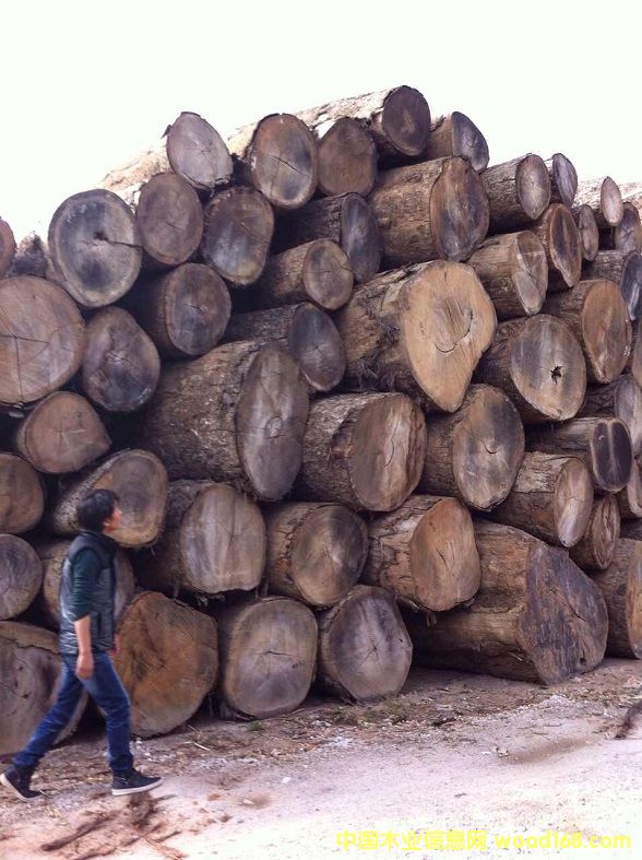 ������ľ��Ԕ��(x��)��B