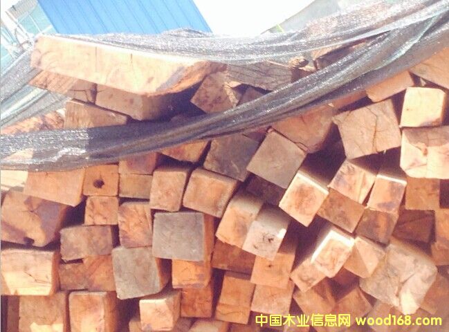 �����Ԕ��(x��)��B