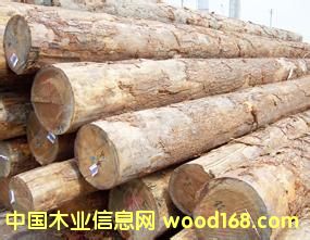 ����(y��ng)���黨��ľԭľ���tľԭľ����ڏ�ԭľ�����飩