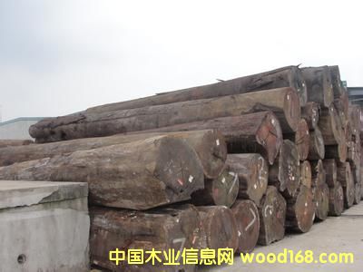 ����(y��ng)�M(j��n)�� ��Ʒ���󏽣��ͻ�ԭľ�����ޣ�