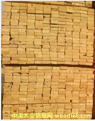 SPF��Ԕ��(x��)��B