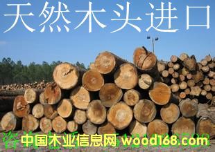 �c(di��n)���鿴ľ�ķŴ�DƬ