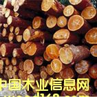 �c(di��n)���鿴FB-1�Ŵ�DƬ