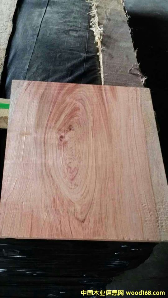 �c(di��n)���鿴�������棨�Z�аͣ��Ŵ�DƬ