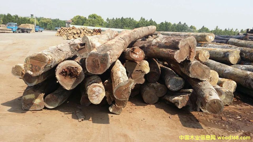 �c(di��n)���鿴�������棨�Z�аͣ��Ŵ�DƬ