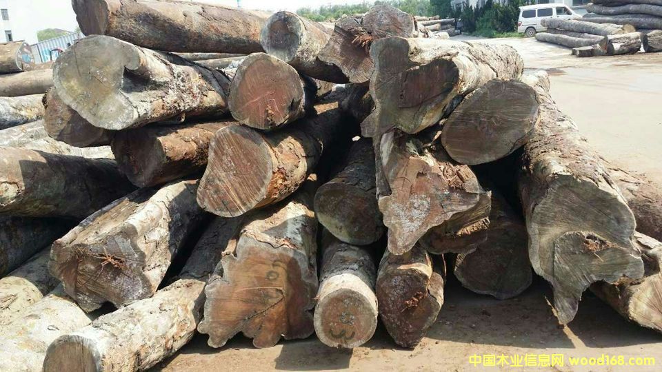 �c(di��n)���鿴�������棨�Z�аͣ��Ŵ�DƬ