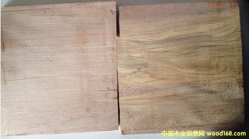  ��ľ���¼t���ң���Ԕ��(x��)��B