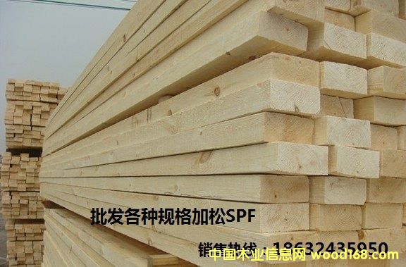 SPF ��ɼ-��ľ