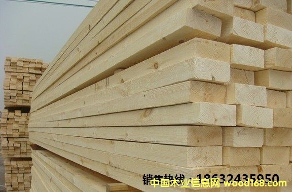 �c���鿴����SPF �Ŵ�DƬ