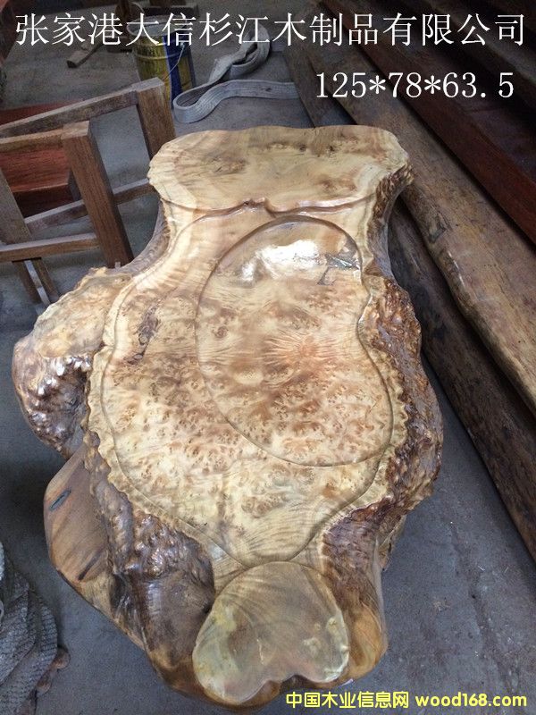 �S�������~���_