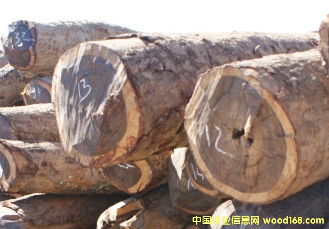 ����Ѫ̴��Ԕ��(x��)��B