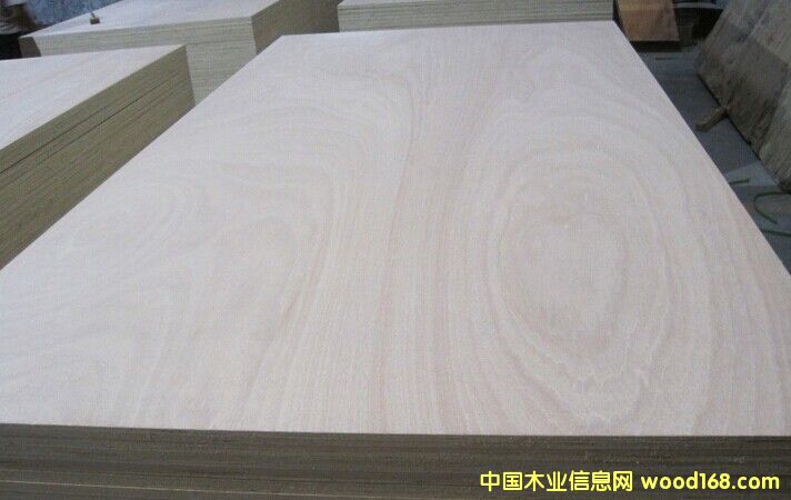 ��(y��u)�|(zh��)12mmE1���ߙn�Ҿ������Ӱ��Ԕ����B