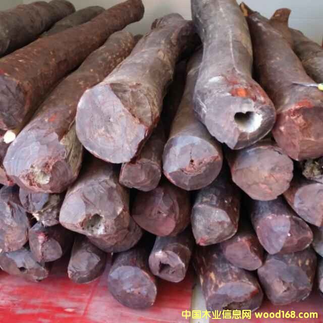 �c(di��n)���鿴С�~��̴�Ŵ�DƬ