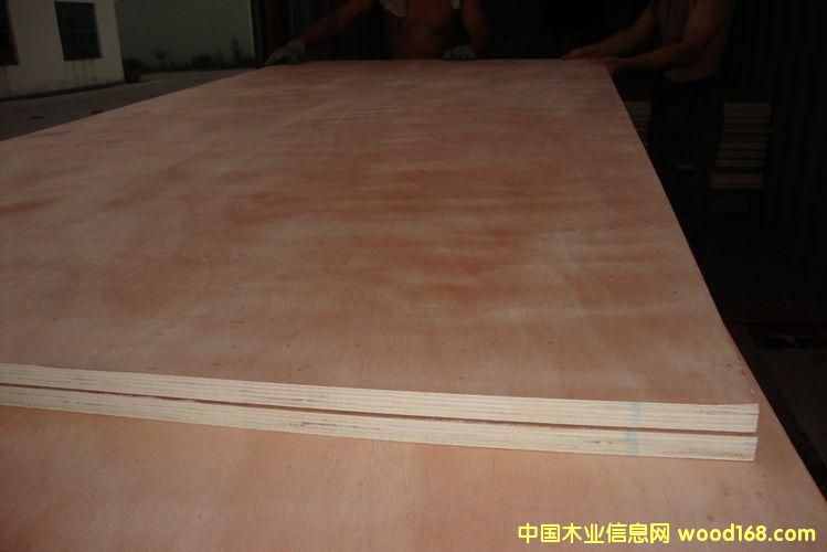 �Ҿ߰�ĵ�Ԕ��(x��)��B