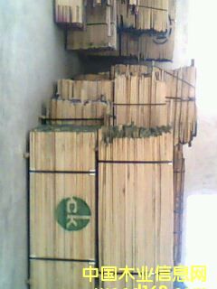 �t������Ϟ?z��i)������?><br>
                      <font size=3><b>�t������Ϟ?z��i)������?/b></font></a></div>
                  </td>
                </tr>
                 
                <tr> 
                  
                <td height=