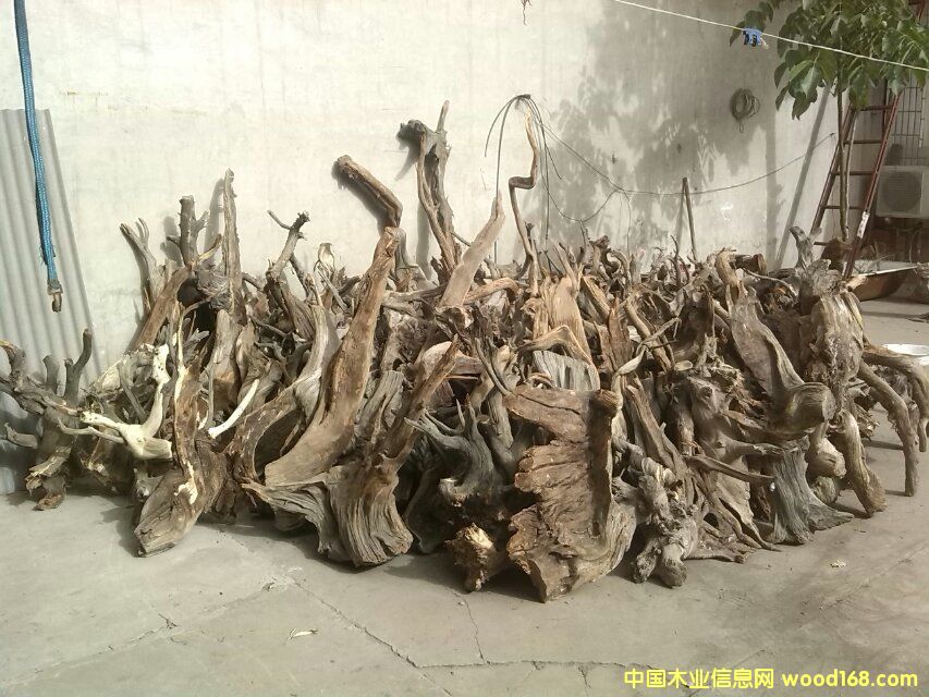 �c(di��n)���鿴̫���°طŴ�DƬ