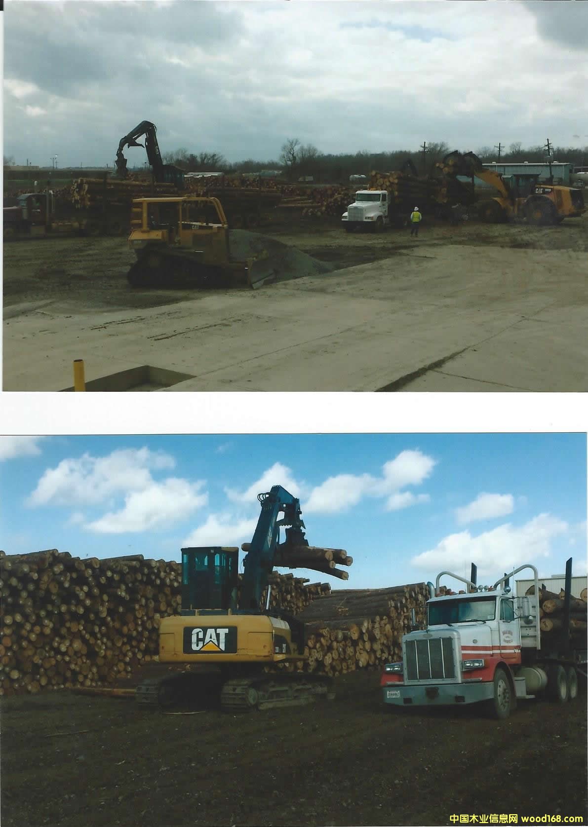 �Ϸ��� Southern Yellow Pine logs 