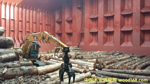 �Ϸ��� Southern Yellow Pine logs ��Ԕ����B