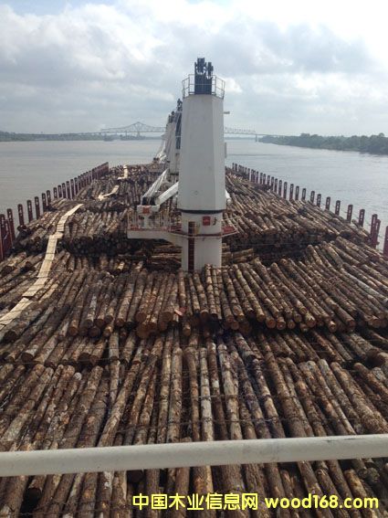 ��ľ����ľ����ľ