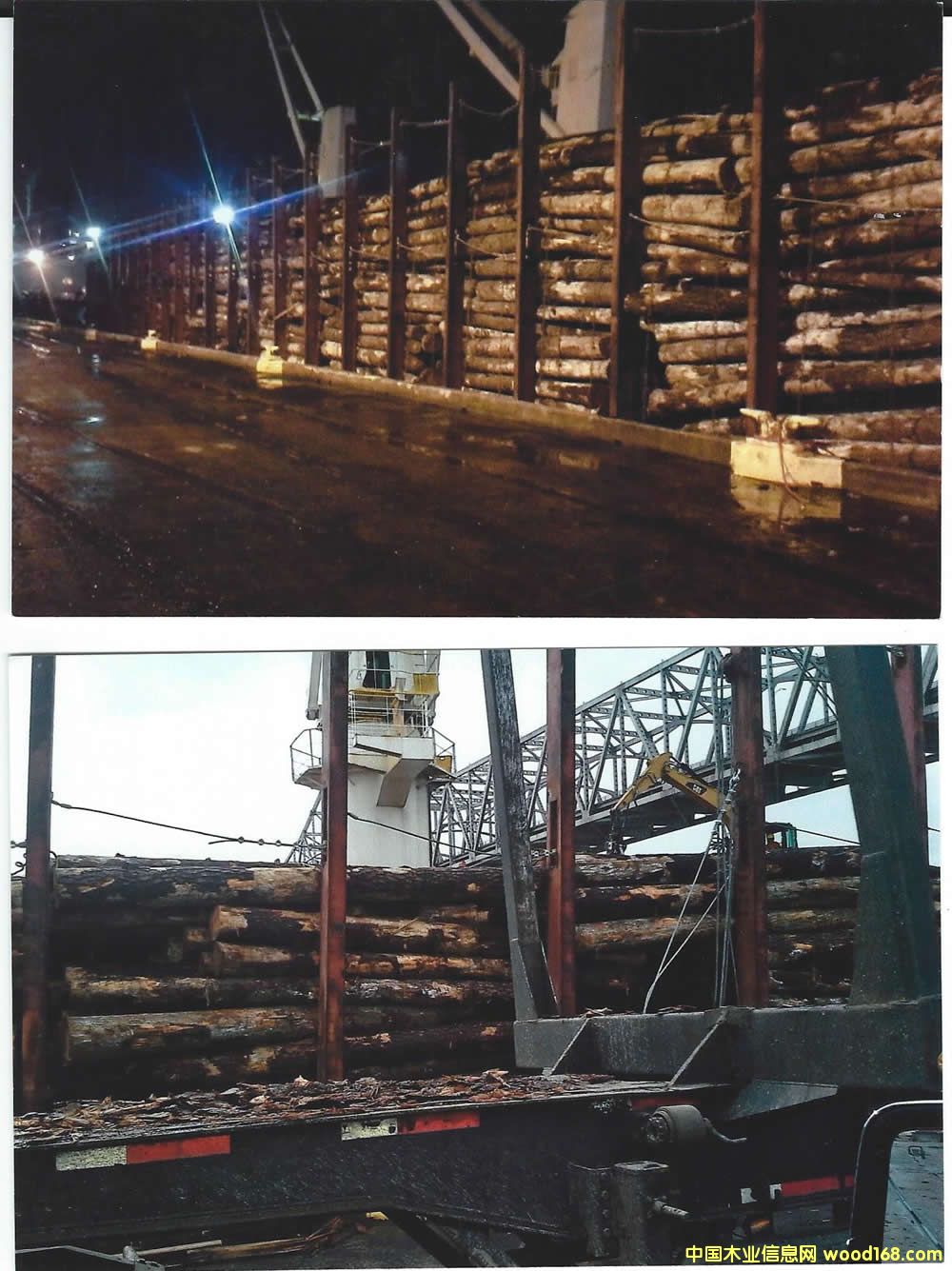 �Ϸ��� Southern Yellow Pine logs 