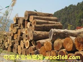 �M(j��n)��ľ�Ĉ�(b��o)�P(gu��n)����