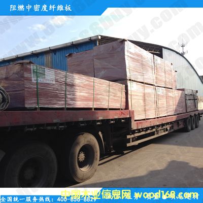 B��(j��)��ȼ�ܶȰ��Ԕ��(x��)��B