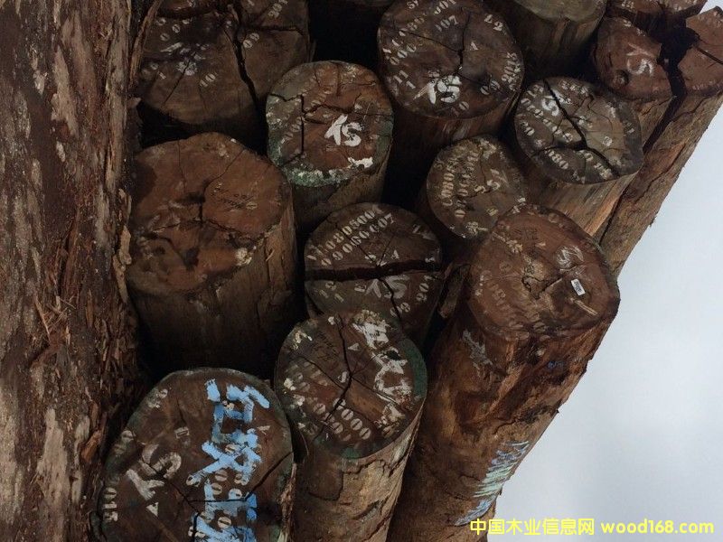 �tõ���Ԕ����B