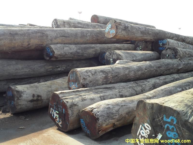 ���}���Ԕ����B