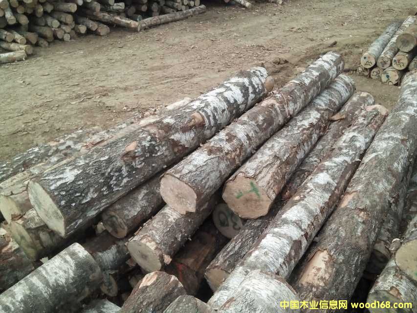 �M��ԭľ ��Ԕ����B