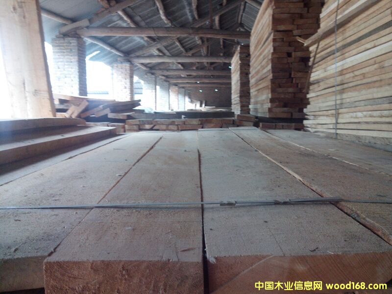 白楊板材的詳細(xì)介紹