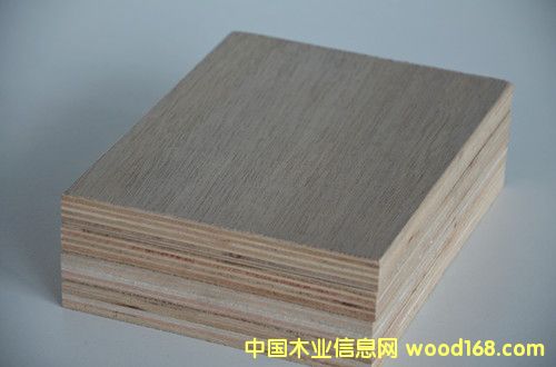 �oȩ���������z�ϰ��Ԕ����B