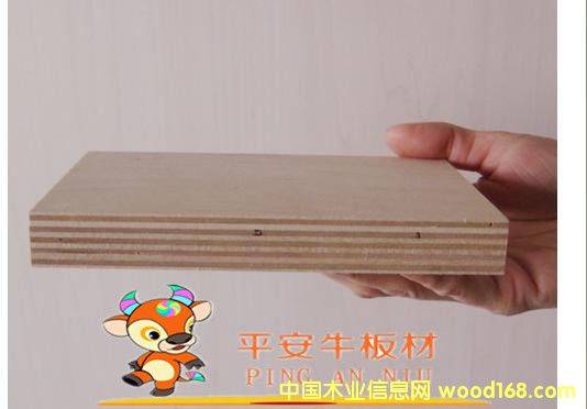 12����Ӱ��������z�ϰ���ƽ��ţ�Ƶ�Ҿ߰�ĵ�Ԕ����B