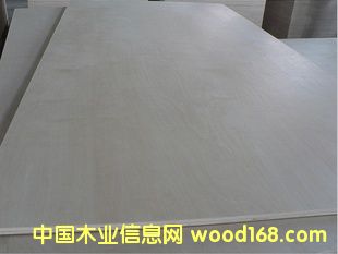 E0,E1�����Ӱ����ߙn�Ƶ�Ҿ߰���9���z�ϰ�