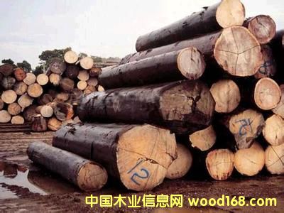 �c���鿴�|�ρ��Ŵ�DƬ