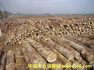 �c���鿴�|�ρ��Ŵ�DƬ