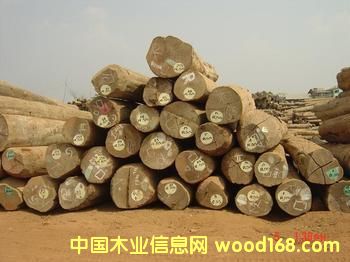 �c���鿴�|�ρ��Ŵ�DƬ