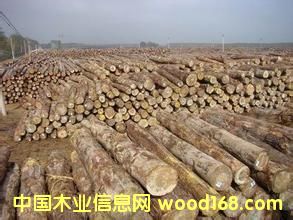 �c���鿴�|�ρ�ľ�ķŴ�DƬ